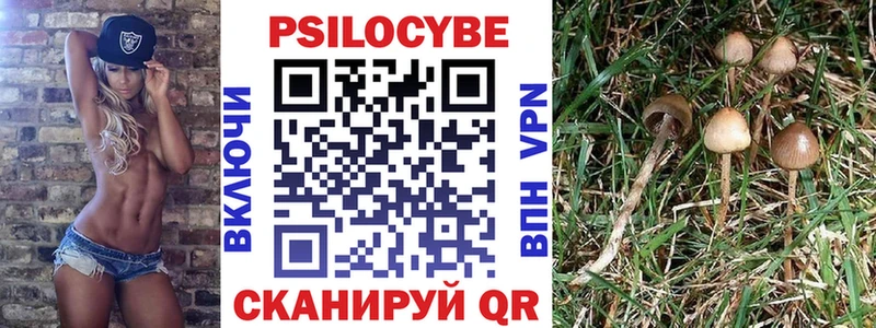 Псилоцибиновые грибы Psilocybe  как найти наркотики  Вятские Поляны 