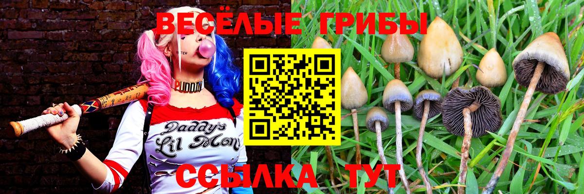Вятские Поляны  Галлюциногенные грибы Psilocybe  Псилоцибиновые грибы мухоморы  Вход с VPN 