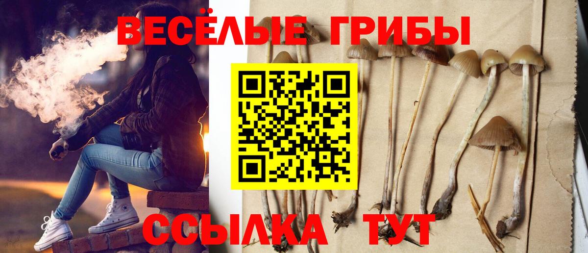Псилоцибиновые грибы ЛСД Вятские Поляны
